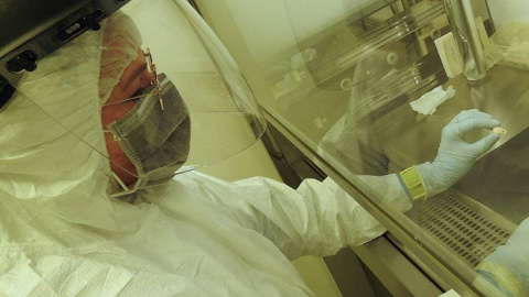 La investigadora Elena Essel analiza el diente de ciervo perforado.