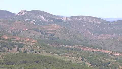 Aumentan el riesgo de incendios en España por el calor Aumentan el riesgo de incendios en España por el calor