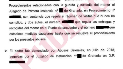 Infancia Libre declaraciones a la policía en el caso M.V.C. Infancia Libre declaraciones a la policía en el caso M.V.C.