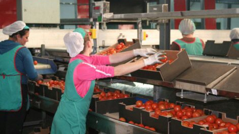 Son casi 20.000 las mujeres que soportan situaciones de absoluta precariedad. Autor: Pablo Níjar P Son casi 20.000 las mujeres que soportan situaciones de absoluta precariedad. Autor: Pablo Níjar P