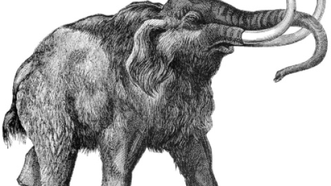 54a1c5eed6c07.jpg 54a1c5eed6c07.jpg