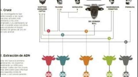 548d51f178924.jpg 548d51f178924.jpg