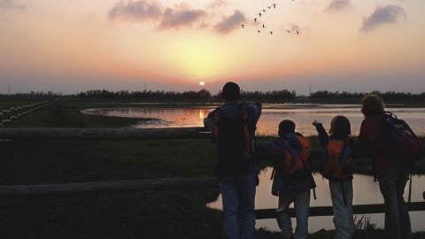La ruta passa pel Parc Natural dels Aiguamolls de l'Empordà La ruta passa pel Parc Natural dels Aiguamolls de l'Empordà