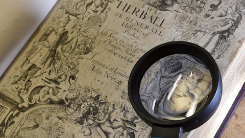 La primera edición de "The Herball", con la supuesta imagen de Shakepseare ampliada con una lupa. REUTERS/Toby Melville La primera edición de "The Herball", con la supuesta imagen de Shakepseare ampliada con una lupa. REUTERS/Toby Melville