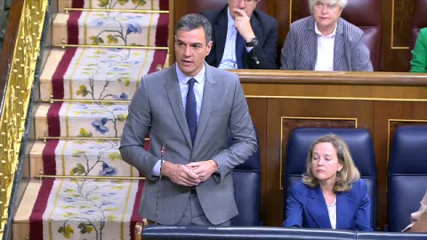 Sánchez insiste en su "es legal, pero no decente" ante Mertxe Aizpurua Sánchez insiste en su "es legal, pero no decente" ante Mertxe Aizpurua