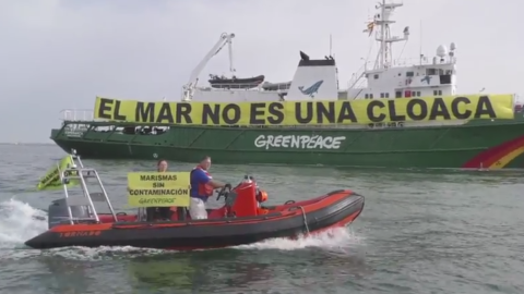 Fotograma del vídeo que Greenpeace ha difundido para dar a conocer la acción | Foto: Greenpeace Fotograma del vídeo que Greenpeace ha difundido para dar a conocer la acción | Foto: Greenpeace