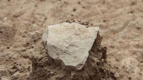 Homínidos de hace 3,3 millones de años usaron herramientas de piedra. /MPK-WTAP Homínidos de hace 3,3 millones de años usaron herramientas de piedra. /MPK-WTAP