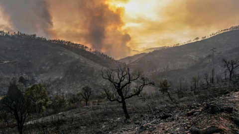 El incendio en la comarca de Monchique. EFE El incendio en la comarca de Monchique. EFE