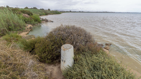 646cf1e42e435.jpeg 646cf1e42e435.jpeg