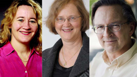 548cf4cad3b12.jpg 548cf4cad3b12.jpg