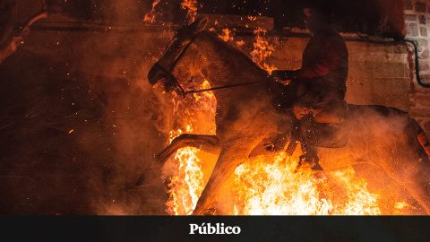 Un caballo, obligado a trotar sobre el fuego en la celebración de la Luminarias de San Bartolomé, en Ávila Un caballo, obligado a trotar sobre el fuego en la celebración de la Luminarias de San Bartolomé, en Ávila