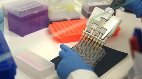 27/06/2022 - Imagen de una científica en el laboratorio del Parque Tecnológico de Zamudio de Bilbao, a 23 de mayo de 2022 en Zamudio, Vizcaya, País Vasco (España). 27/06/2022 - Imagen de una científica en el laboratorio del Parque Tecnológico de Zamudio de Bilbao, a 23 de mayo de 2022 en Zamudio, Vizcaya, País Vasco (España).