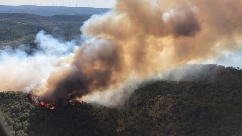 Bombers de la Generalitat - Fases d'un incendi