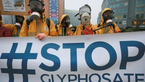 Protesta contra la autorización del glifosato - EFE Protesta contra la autorización del glifosato - EFE