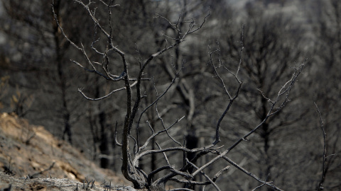 El incendio en Beneixama. EFE/ Morell El incendio en Beneixama. EFE/ Morell