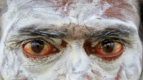 Hindú con la cara pintada de ceniza en Ujjain, India. REUTERS/Jitendra Prakash