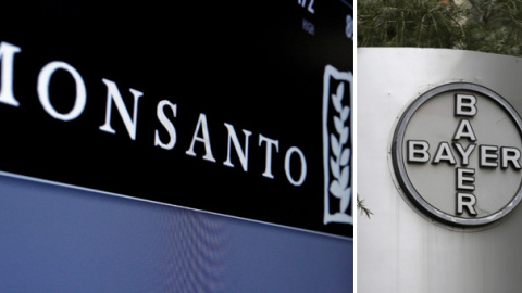 Los logos de Monsanto y de Bayer. REUTERS Los logos de Monsanto y de Bayer. REUTERS
