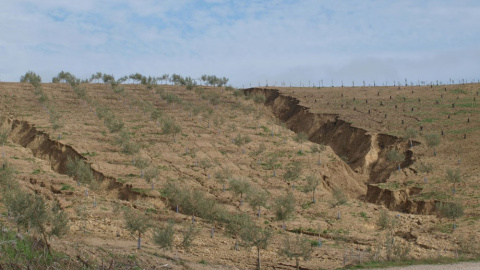El estudio ha sido publicado en la revista Science of the Total Environment. CSIC El estudio ha sido publicado en la revista Science of the Total Environment. CSIC