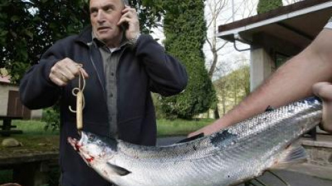 54a19202bef44.jpg 54a19202bef44.jpg