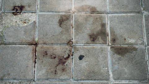 Restos de sangre en la acera en la que apareció el último gato muerto con mordeduras y signos de haber sido apaleado. Restos de sangre en la acera en la que apareció el último gato muerto con mordeduras y signos de haber sido apaleado.