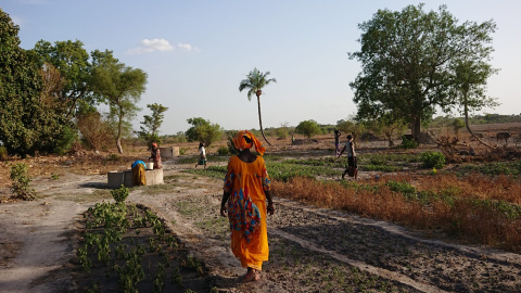 Visita a una cooperativa de dones agricultures a Kolda (Casamance, Senegal)