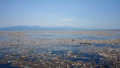 Cobrar las bolsas sí funciona: hay un 30% menos en el mar Cobrar las bolsas sí funciona: hay un 30% menos en el mar