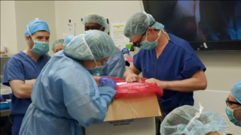 Éxito en el primer trasplante de pene y escroto Éxito en el primer trasplante de pene y escroto