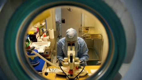 Imagen en un laboratorio del CSIC Imagen en un laboratorio del CSIC
