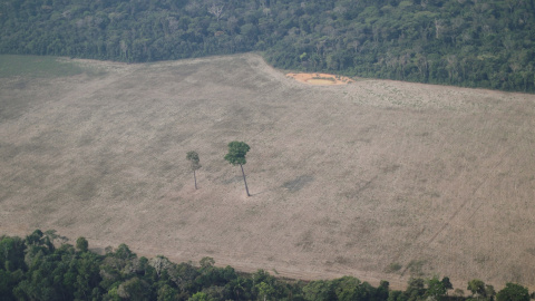 Vista aérea de la deforestación en el Amazonas Vista aérea de la deforestación en el Amazonas