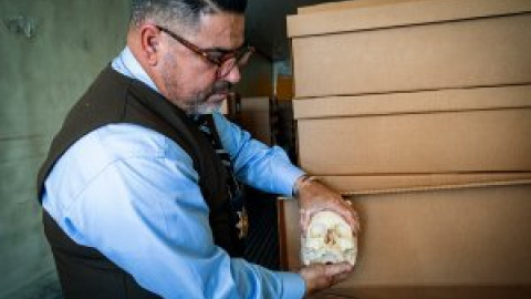 Huesos en una caja y el duelo suspendido: ¿cómo se identifican en EEUU los restos de un migrante desaparecido? Huesos en una caja y el duelo suspendido: ¿cómo se identifican en EEUU los restos de un migrante desaparecido?