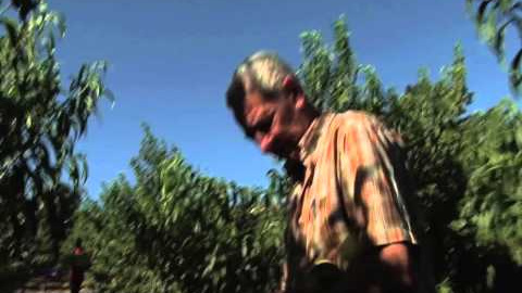 Mercat del préssec d'Ordal