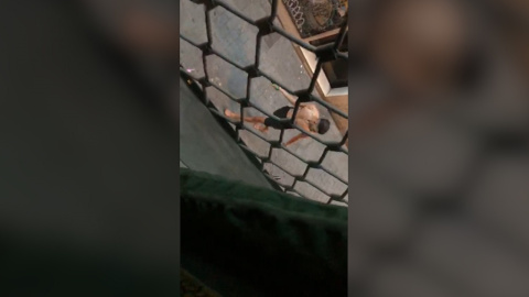 Pelea a machetazos en el barrio del Raval de Barcelona Pelea a machetazos en el barrio del Raval de Barcelona