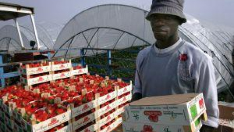 54a193f950c66.jpg 54a193f950c66.jpg