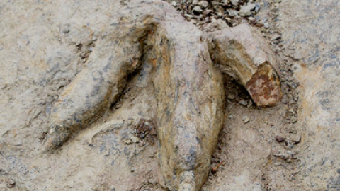 548cf87c5636c.jpg 548cf87c5636c.jpg