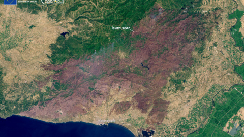 Imagen del satélite del programa Copernicus en el que se aprecia la amplia zona arrasada por el incendio de Evros (Grecia), el más grande registrado en la UE.
