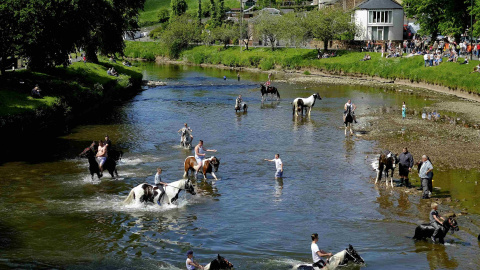 Miembros de una comunidad viajera lavan sus caballos en el río Eden durante la feria del caballo en Appleby-in -Westmorland al norte de Reino Unido. REUTERS/Phil Noble
