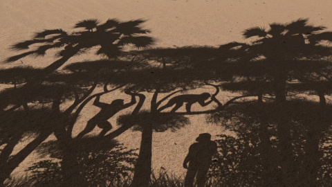 24/08/2022 Representación de los modos de locomoción practicados por 'Sahelanthropus'. 24/08/2022 Representación de los modos de locomoción practicados por 'Sahelanthropus'.