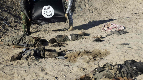 Miembros de las fuerzas iraquíes sostienen una bandera del Estado Islámico, junto a los cadáveres de yihadistas en las afueras de la ciudad de Ramadi. REUTERS/Stringer Miembros de las fuerzas iraquíes sostienen una bandera del Estado Islámico, junto a los cadáveres de yihadistas en las afueras de la ciudad de Ramadi. REUTERS/Stringer