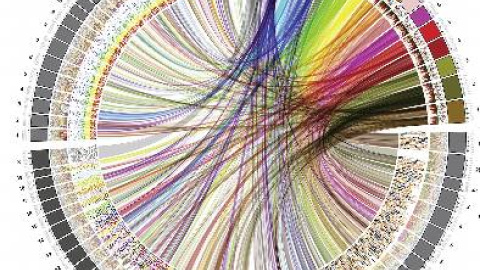 548cf9395421e.jpg 548cf9395421e.jpg