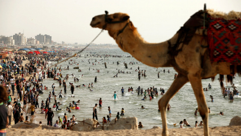 Un camello pasea por la playa mientras los palestinos disfrutan del fin de semana en el mar Mediterráneo en la costa de Gaza. REUTERS/Mohammed Salem