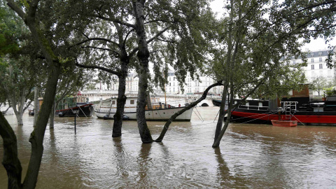Casas flotantes amarradas a las orillas del Sena. REUTERS / Charles Platiau