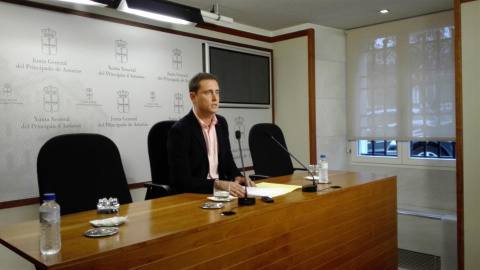 El diputado asturiano del Partido Popular, David González. El diputado asturiano del Partido Popular, David González.