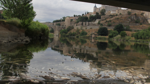 El Tajo presenta un aspecto deplorable a su paso por Toledo El Tajo presenta un aspecto deplorable a su paso por Toledo