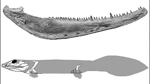 54a1cb8360baa.jpg 54a1cb8360baa.jpg