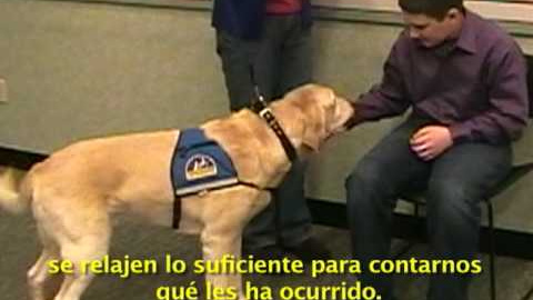 _EDVLTXdCOk _EDVLTXdCOk