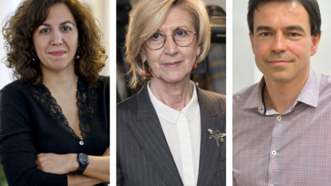 La candidatura de Irene Lozano disputará el puesto de Rosa Díez al equipo de Andrés Herzog, el número dos de la todavía portavoz magenta. La candidatura de Irene Lozano disputará el puesto de Rosa Díez al equipo de Andrés Herzog, el número dos de la todavía portavoz magenta.