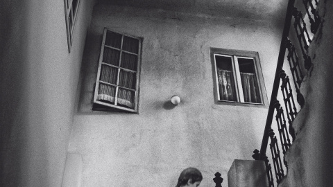 Portada del último libro de Rosa Ribas. Portada del último libro de Rosa Ribas.