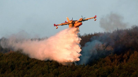 05/08/2019 - El incendio forestal declarado en el Real Sitio de San Ildefonso (La Granja), en Segovia / EFE 05/08/2019 - El incendio forestal declarado en el Real Sitio de San Ildefonso (La Granja), en Segovia / EFE