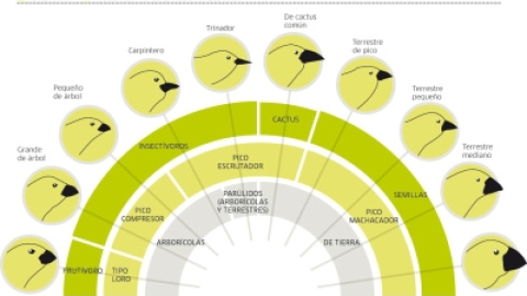 54a22d70bc31e.jpg 54a22d70bc31e.jpg