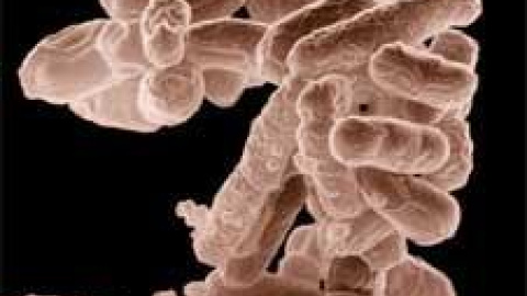 5488e0b13dae9.jpg 5488e0b13dae9.jpg